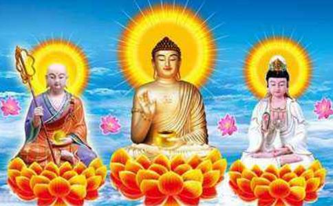 为什么佛菩萨都是坐在莲花上的？