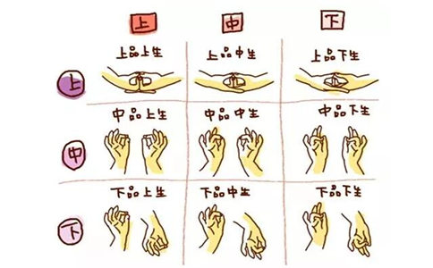 阿弥陀佛的手势图之九品印
